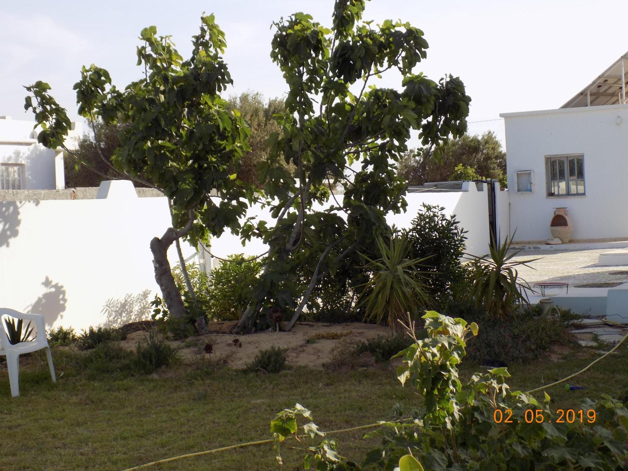 Dar Mamina Bed and Breakfast Sidi ash Shammakh Buitenkant foto