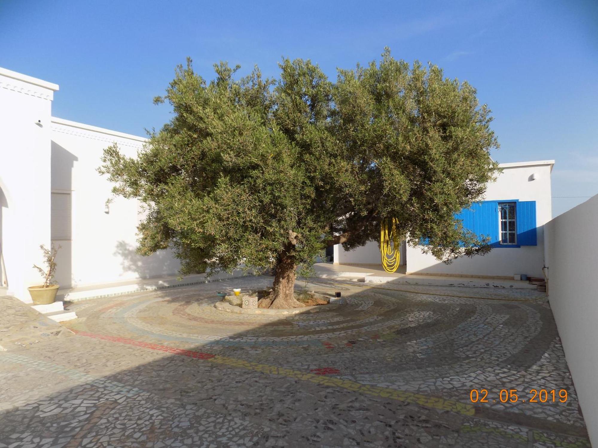 Dar Mamina Bed and Breakfast Sidi ash Shammakh Buitenkant foto