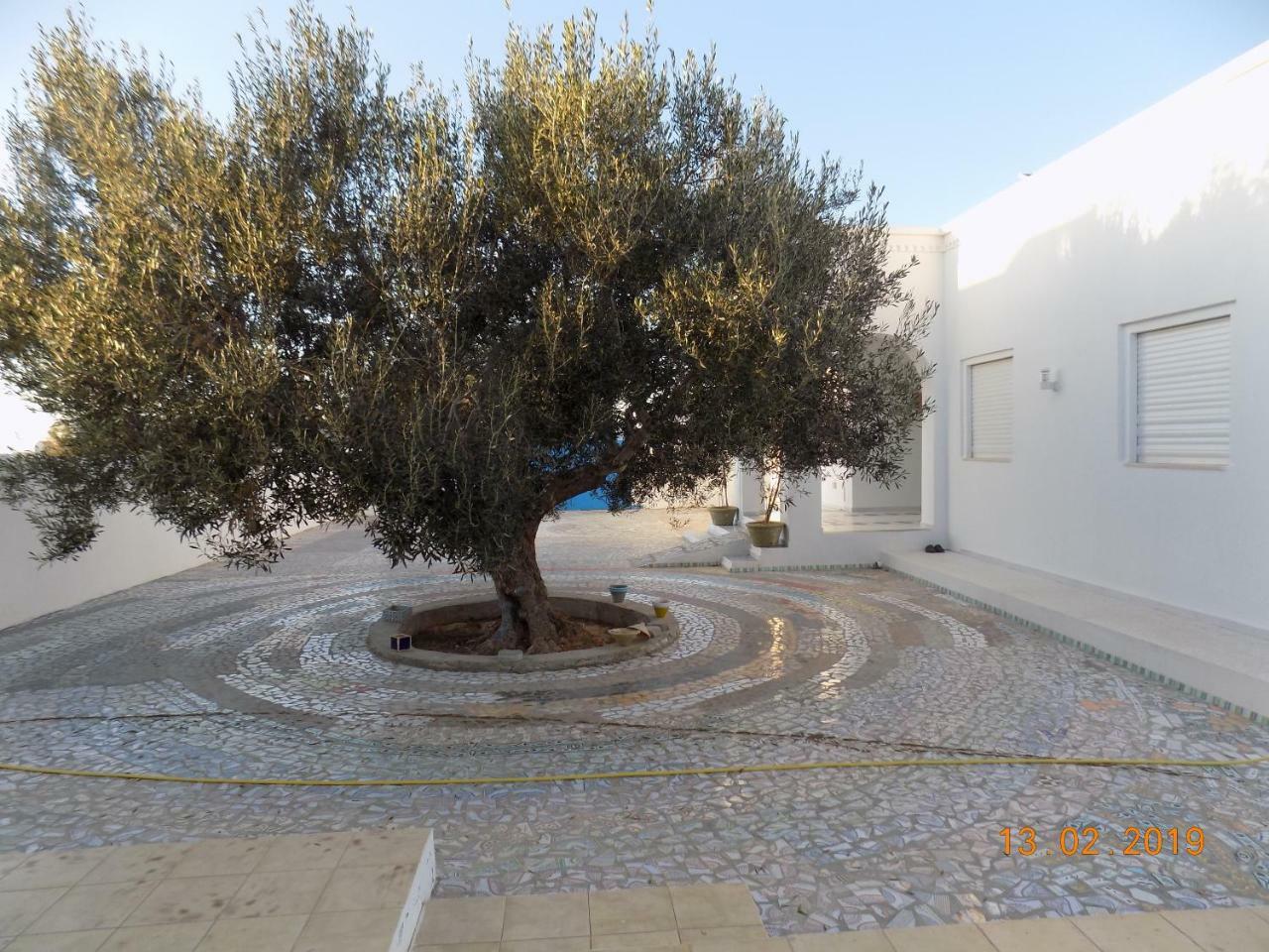 Dar Mamina Bed and Breakfast Sidi ash Shammakh Buitenkant foto