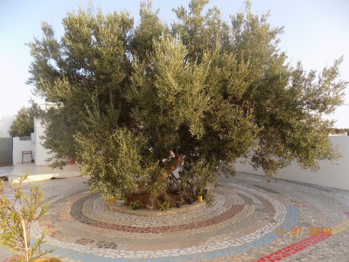 Dar Mamina Bed and Breakfast Sidi ash Shammakh Buitenkant foto